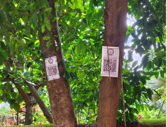 Maa Manikeswari University