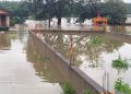 waterlogging