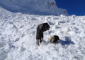 Three Indian soldiers killed in Siachen Glacier avalanche, bodies recovered