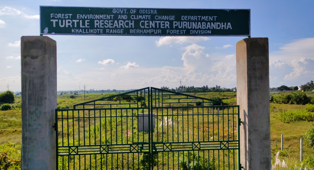 Odisha's first turtle research centre