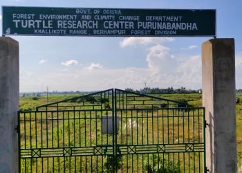 Odisha's first turtle research centre