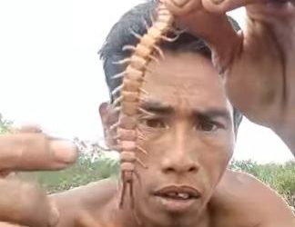 Viral video