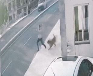 Viral video