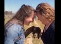 Viral video