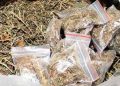 contraband