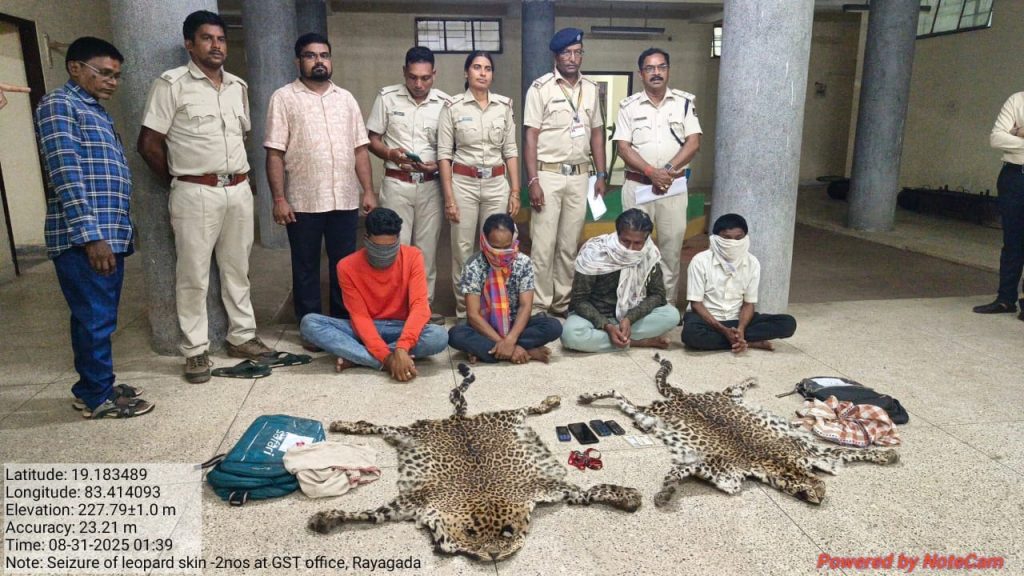 leopard hides seized