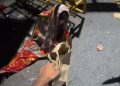 Viral video