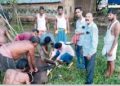 Animal Aid Centre shortage hits livestock farmers hard