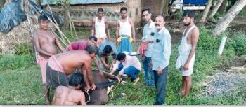 Animal Aid Centre shortage hits livestock farmers hard