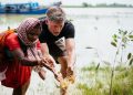 Mangrove restoration