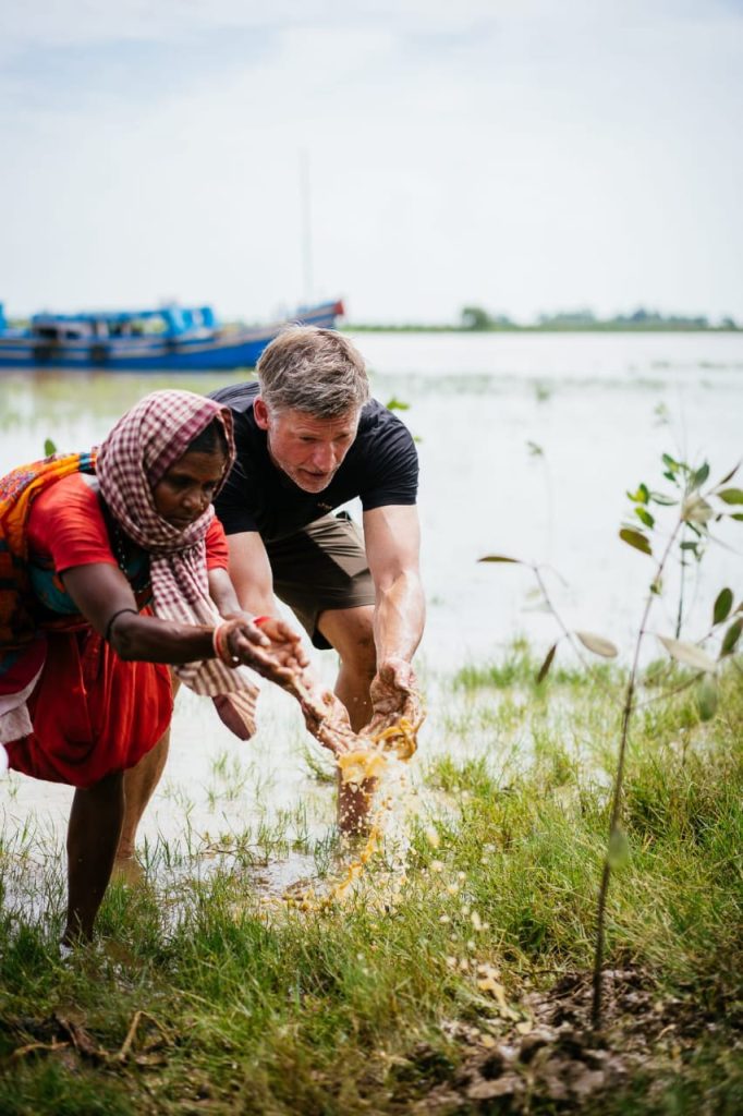 Mangrove restoration