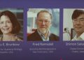 Nobel Prize in medicine