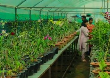 Representational image (Pic- YouTube/ Regional Plant Resource Centre)