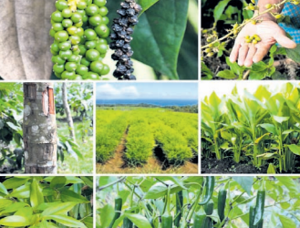 Koraput tourism