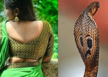 ‘She turns into snake, chases me’: Man’s wild claim stuns Sitapur authorities