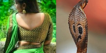 ‘She turns into snake, chases me’: Man’s wild claim stuns Sitapur authorities