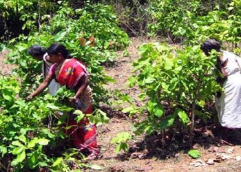 ??????????????????????????????????????????????????????????