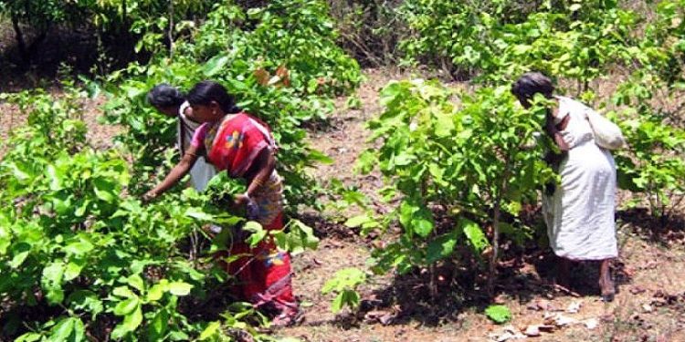 ??????????????????????????????????????????????????????????