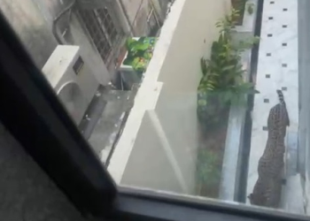 Leopard enters Rajasthan minister’s bungalow