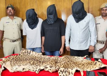 Three arrested with leopard skin in City