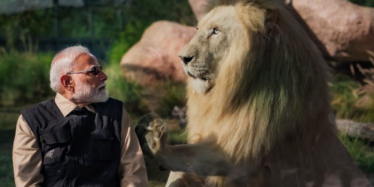 Vantara Animal Rescue