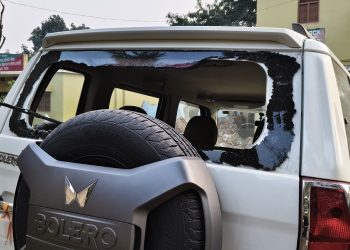 Timber mafia attacks forest staff, snatches seized vehicle, wood