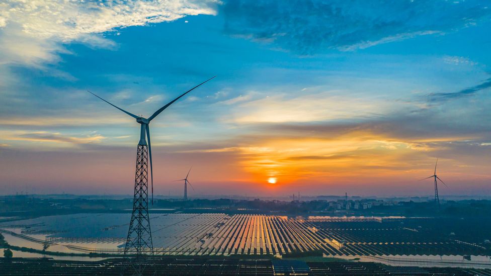 Odisha emerging as clean energy destination: Report