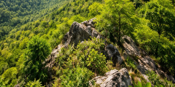 Aravallis