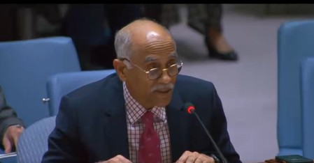 United Nations Security Council