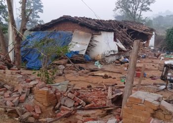 Wild Elephant rampage