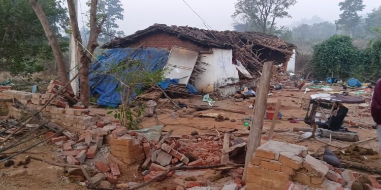 Wild Elephant rampage