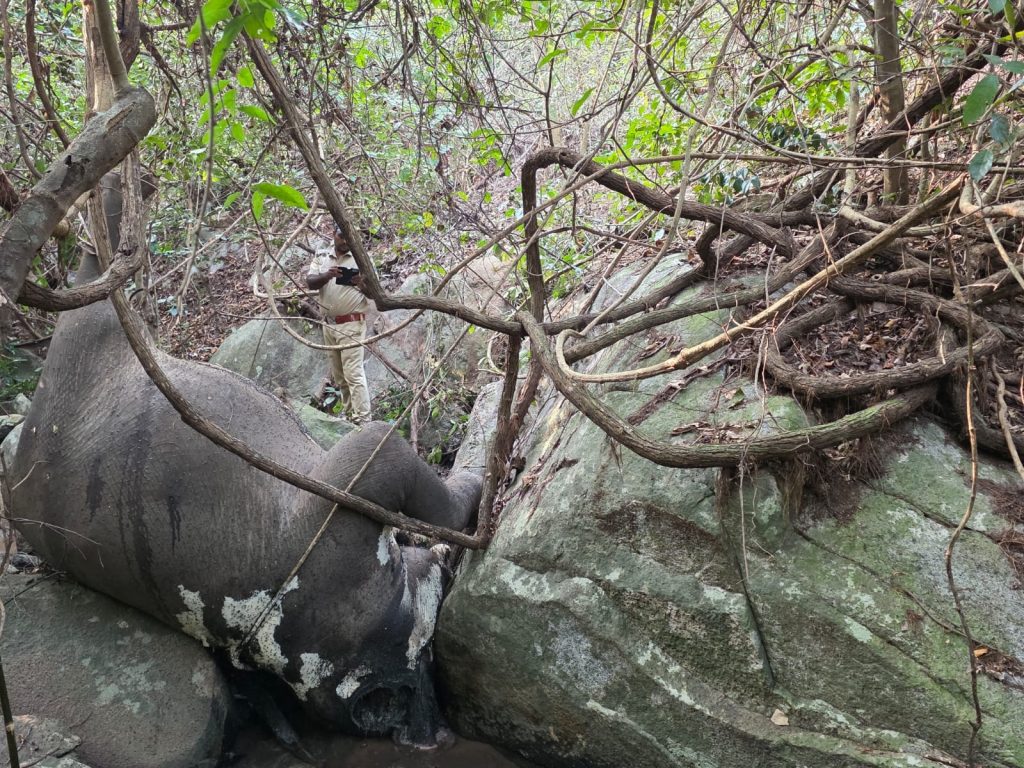 Kuldiha Wildlife Sanctuary