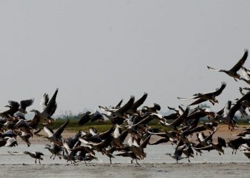 Chilika