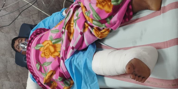 Gajamitra critical after coming in contact with poachers’ live wire trap