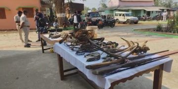Forest dept sleuths seize firearms, snares, antlers’