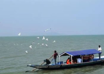 Chilika boat