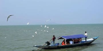 Chilika boat