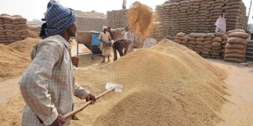 PADDY-PROCUREMENT
