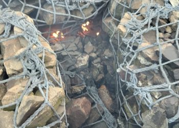 RAJNAGAR JEO SYNTHETIC BOX NIA