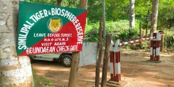 Similipal crocodile count sees marginal rise