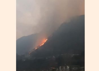 Arunachal Pradesh forest fire