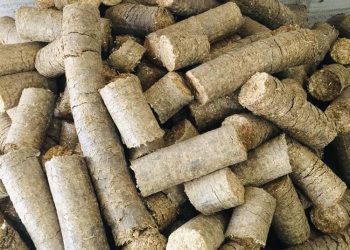 Biomass briquette