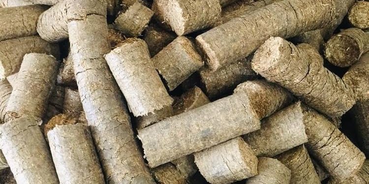 Biomass briquette