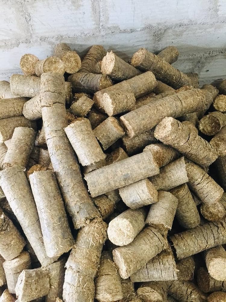 BMC launches biomass briquette plant