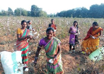 Bolangir, Odisha, Textile park, Business