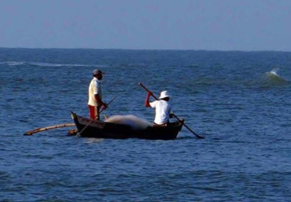 Sri Lanka Navy arrests 25 Indian fishermen over poaching