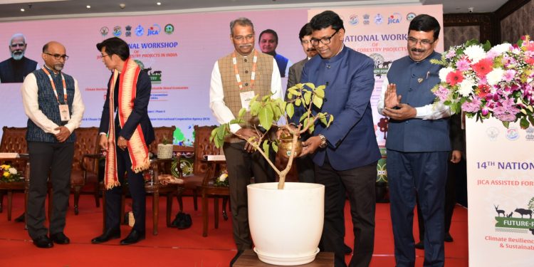 Healthy forests key to climate security: Min