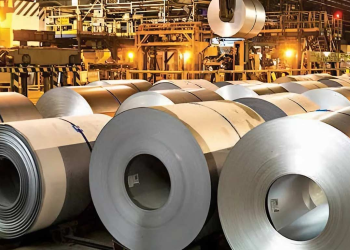 INDIA’S DECARBONISATION GAMBLE