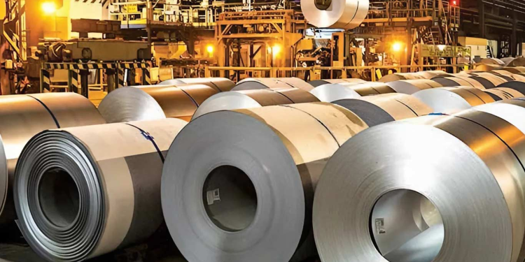 INDIA’S DECARBONISATION GAMBLE