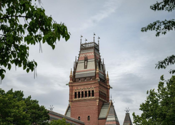 Harvard University
